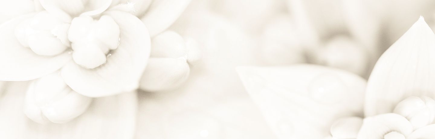 సింధు సిరులు